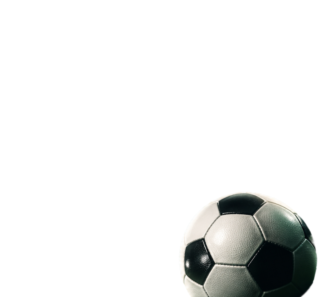 SpinGreen live dealer games